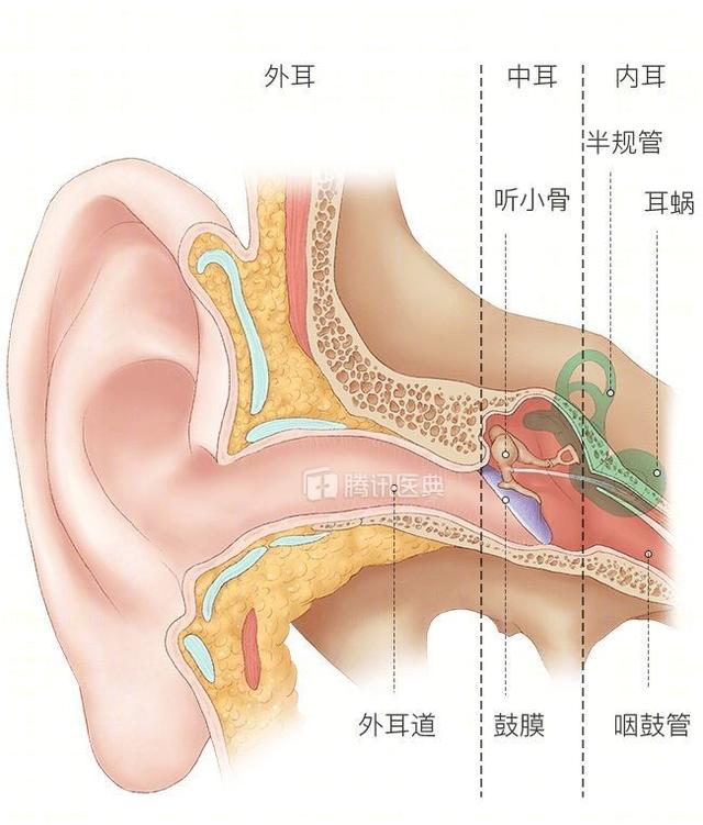 入耳式耳机戴久了耳朵疼怎么办，戴耳塞戴的耳朵疼（长时间戴耳机耳朵疼）