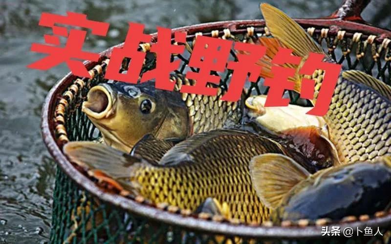 二十年野钓实战经验分享：从选点到上鱼，老钓手教你玩转自然水域垂钓技巧