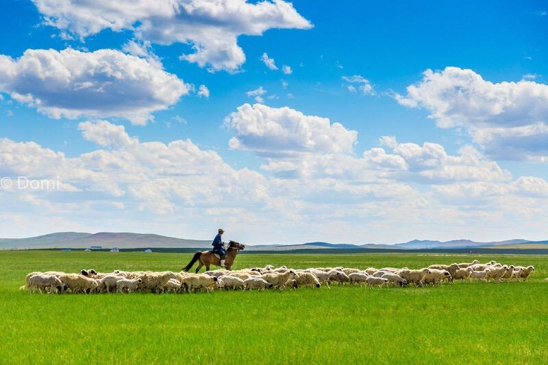 内蒙古旅游攻略必玩的景点 内蒙古全家出游的五个地方