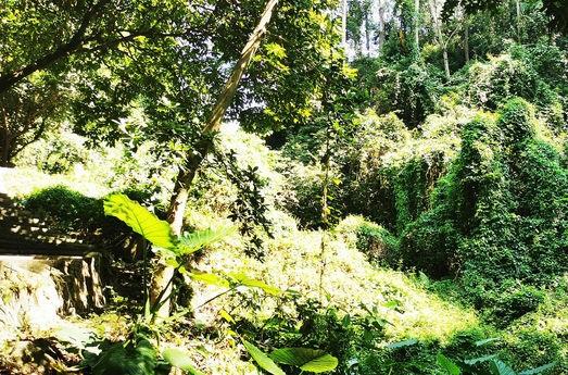 广州景点排行榜前十名，广州旅游景点排名前十（广州十大冷门景点）