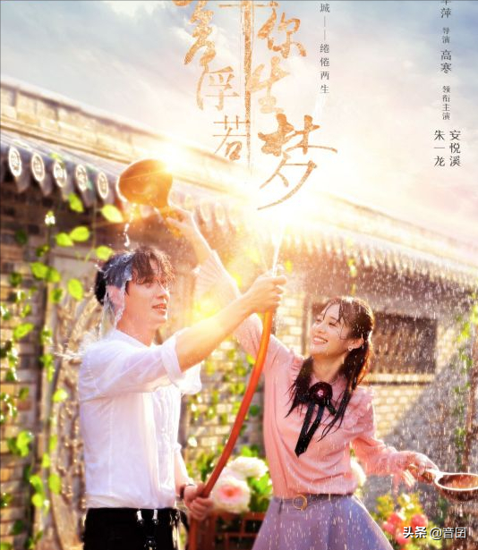 关于美食的电视剧，9.5分以上的日剧排行榜（分享12部“美食题材”的电视剧）