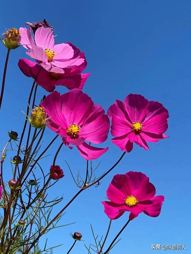 为啥生孩子不赶节气，生孩子不能赶在节气（一起了解上坟习俗）