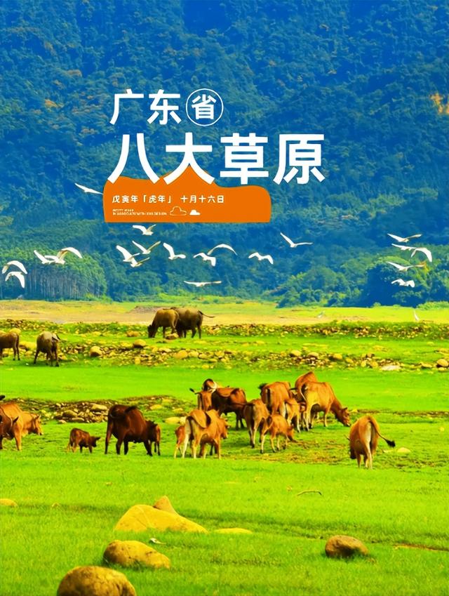 不用去呼伦贝尔｜在广东藏着八大草原