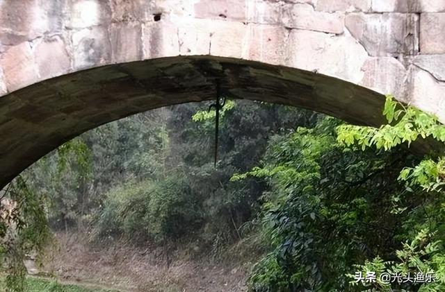 蚺和蟒的区别，2020蟒蛇把一家5口人吃了（老话讲：大蛇为蟒，巨蟒为蚺）