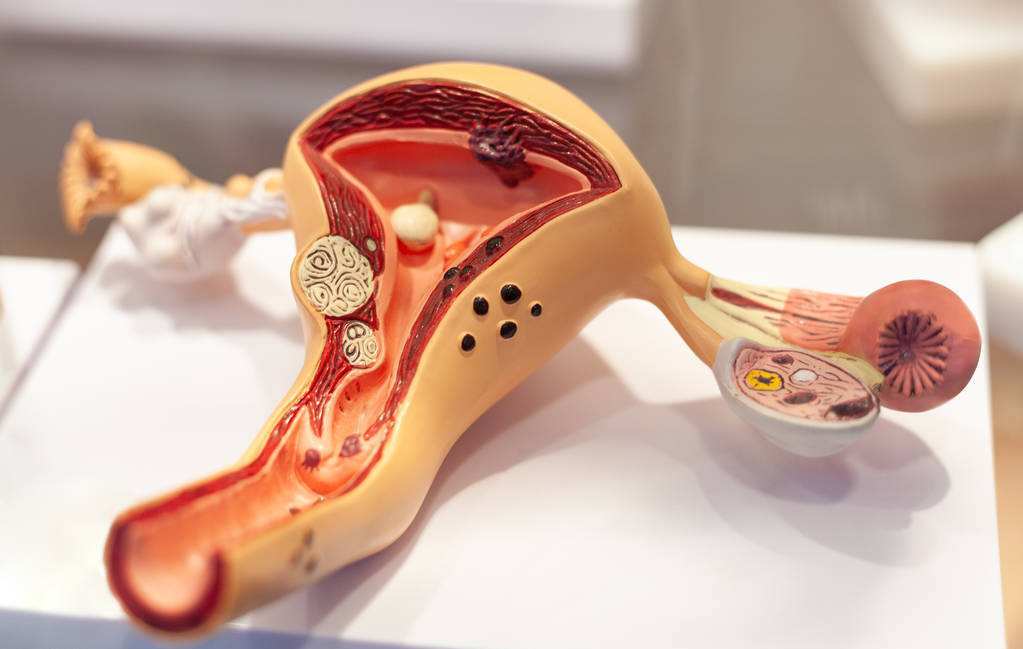 石女清晰图片(2019年西安女孩移植母亲子宫诞下男婴) - 赤虎壹号