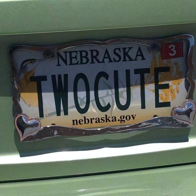 关于夏天的图片，属于夏天 的美丽   ／高清背景图（绿色系背景图，好适合夏天）