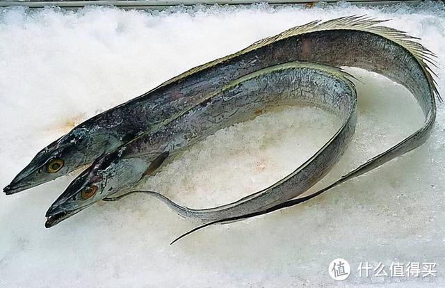 黄油放在冷藏还是冷冻，黄油最简单吃法大全集（手把手带你在冰箱收纳学中上荣耀）