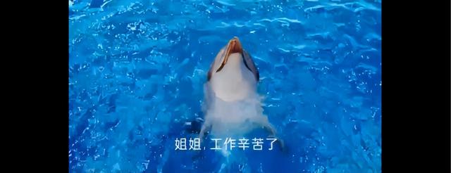 木卫四的基本资料，木卫四协议xgp（聒噪广告的“洗脑营销”）