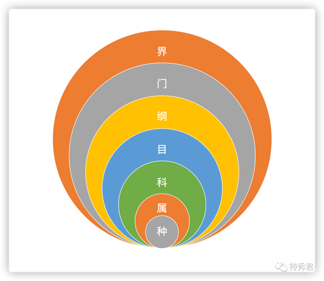 泰国橡木和橡胶木区别，泰国橡木和橡胶木区别在哪（你有勇气知道真相吗）