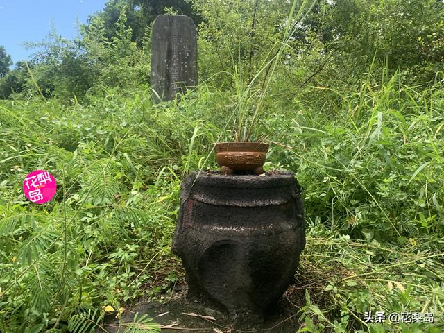 三礼是什么，元培中学文明三礼是什么（明琼州\