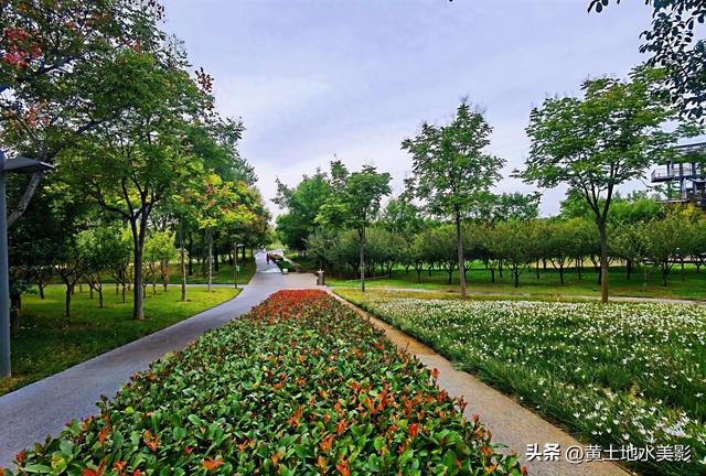 郑州龙湖湿地公园现状分析，河南郑州龙湖湿地公园秋色初露