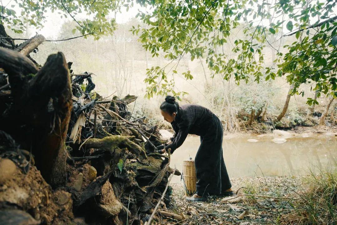 地猫（33岁女生在荒山独居6年）