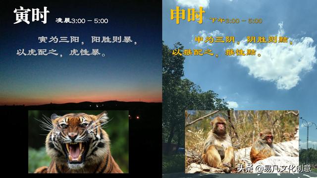 十二生肖什么肖是喜肖，十二生肖什么肖是喜肖（明确阐述了十二生肖动物的搭配原理）