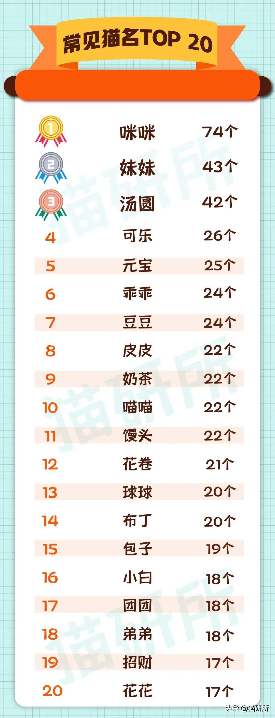 男猫咪高贵洋气的名字(有创意的公猫咪名字大全)