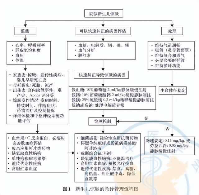 新生儿惊厥是什么，新生儿惊厥是什么意思（发生新生儿惊厥不用怕）