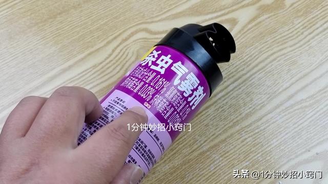 蚂蚁怎么能彻底消灭，花盆里蚂蚁怎么能彻底消灭（家里的蚂蚁连窝端）