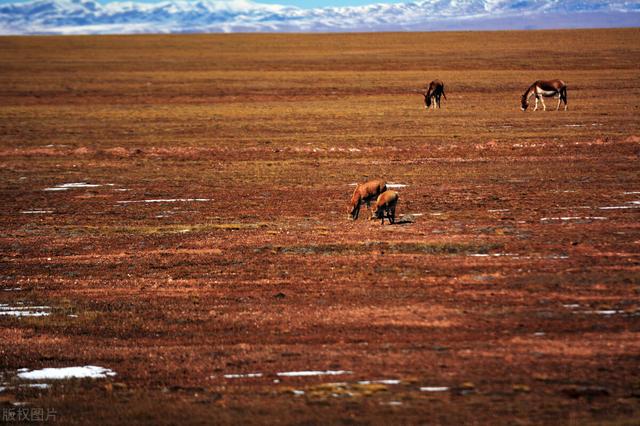 世界文化遗产名录介绍，世界文化遗产名录介绍资料（中国56项世界遗产）