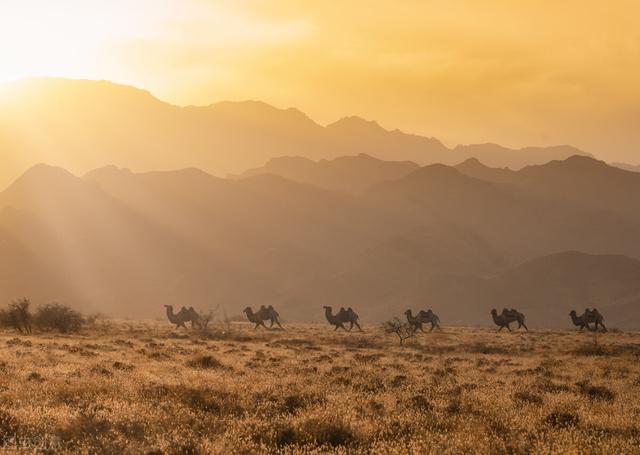 宁夏是哪个省份的城市，宁夏是哪个省（叫不出名字的宁夏首府）