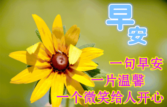 祝福语句简短唯美8个字，简短祝福语八个字（4月2日最漂亮的早上好温馨祝福语短句）