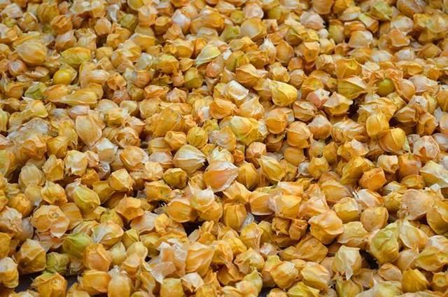 雪莲果图片，这13种水果因为名字被误解（雪莲果图片叶子图片）