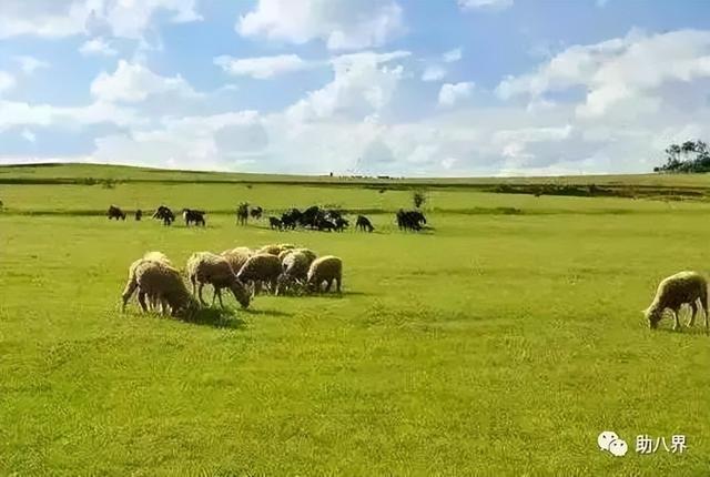 昆明旅游景点，昆明旅游景点一日游（昆明必打卡的30个小众上镜地）