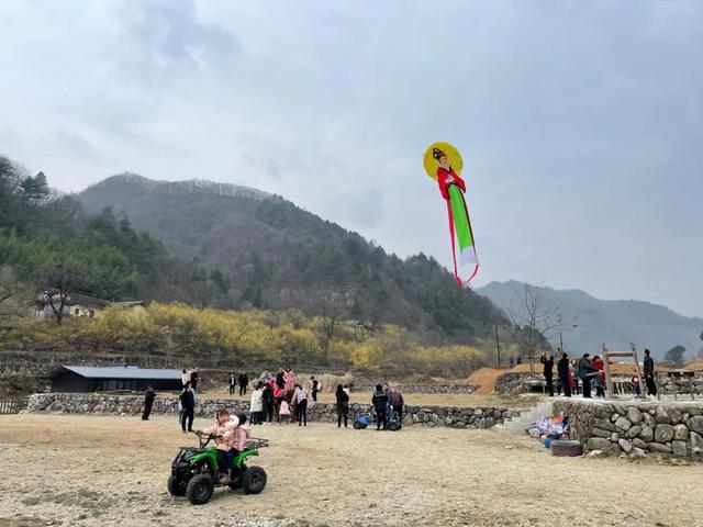 茱萸花怎么画，植物茱萸怎么画（2022佛坪“茱萸花海踏春游”活动即将启幕）