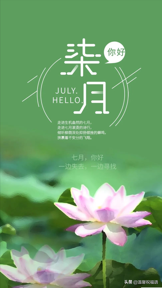 关于你好七月的句子大全,关于你好七月的句子大全英语(7月1日七月你好