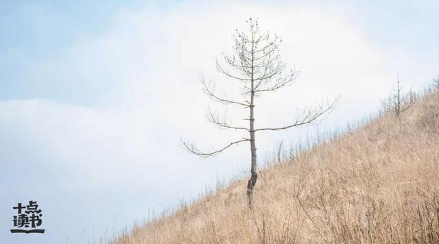 争第一放狠话的句子，pk狠话大全 句句经典（怒时不言）