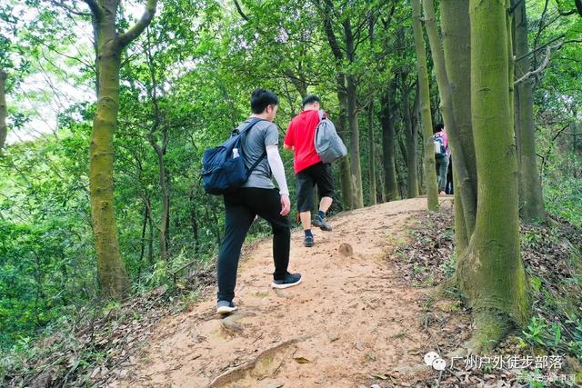 森林天坑怎么下去，迷失森林怎么下天坑（油麻山 防空洞 天坑）