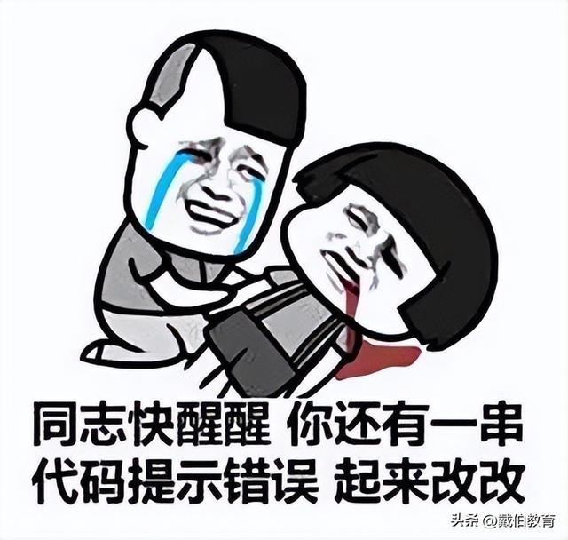 码农是什么意思，程序员一般要学多久（码农年薪100W+北美大厂程序员薪资单曝光）