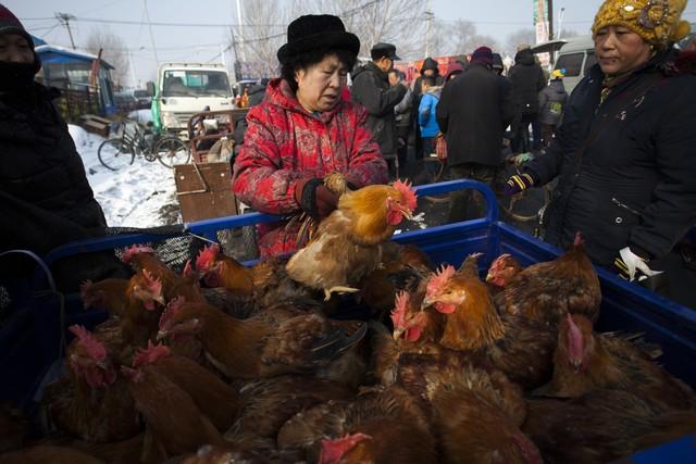 腊月二十七有什么风俗，台州腊月二十七有什么风俗（腊月二十七日习俗多）