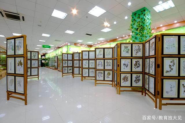 针灸推拿专业哪个学校教的最好，2021全国针灸推拿学专业大学排名一览表（湖南中医药大学和南华大学）