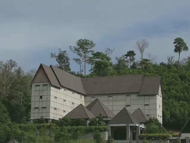 燕窝多少钱一斤，燕窝价格多少一斤（小哥筑屋引燕一个月产5斤燕窝）