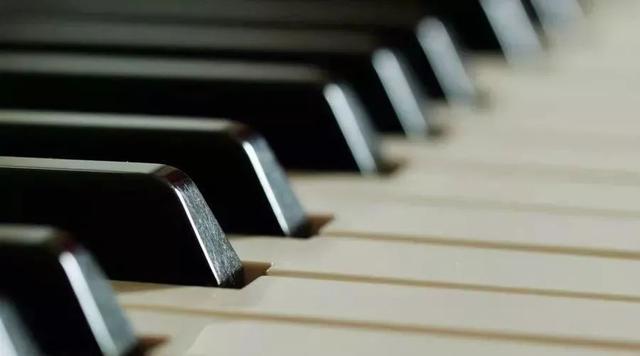 钢琴一共有多少个琴键，十种不适合学钢琴的人（钢琴的这些秘密你知道吗）