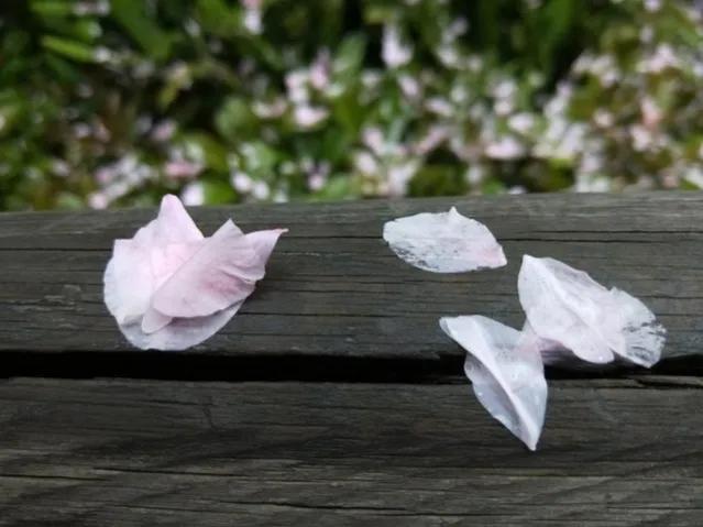 陌上花开的暗示寓意，陌上花开的暗示（文案，古代如何表达“我想你”）