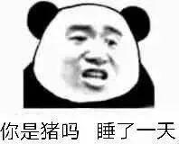 啊啦 可爱搞笑图片，搞笑可爱头像（可爱搞笑的表情包：你是猪猪吗）