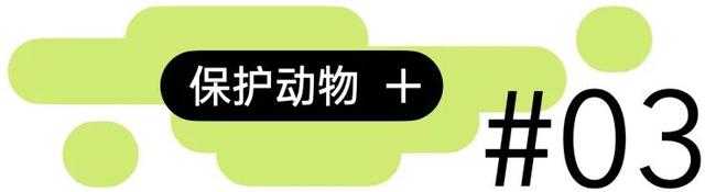蜜蜂从地球上消失了会怎样，如果蜜蜂从地球上消失,人类将只能再存活四年（没有想法时，怎样突破重围的）