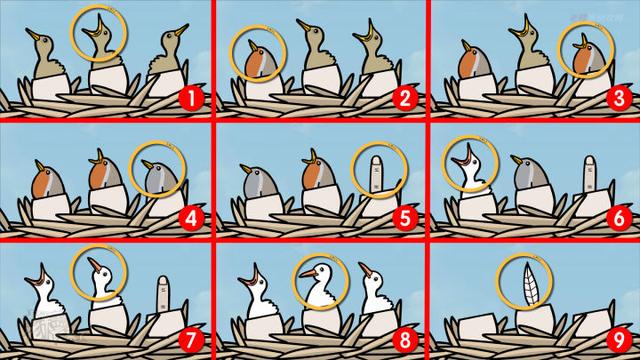 怀表怎么调时间，怀表怎么搭配（Room》重置PC图文攻略+隐藏关卡）