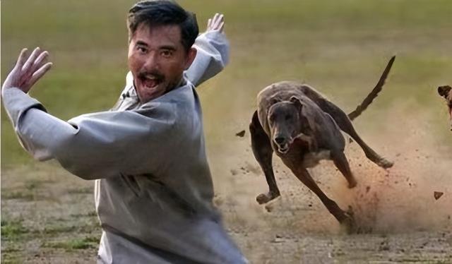 梦见蛀牙预示着什么，做梦梦见蛀牙是什么意思（原来你做的那些稀奇古怪的梦）