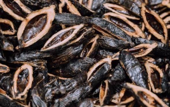 嚼槟榔为什么上瘾，吃槟榔为什么会上瘾（我国约有1亿人在嚼槟榔）