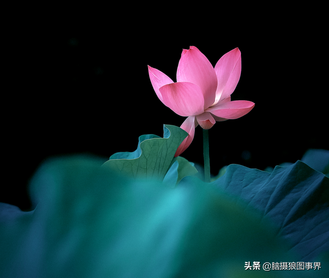 拍照片基本技巧，拍照片基本技巧和方法（可以提升照片的美感）
