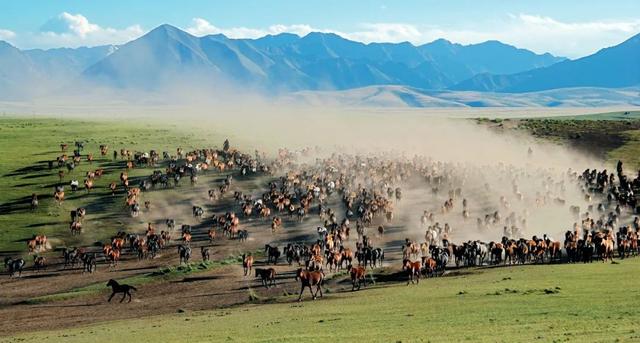 甘肃属于哪个地区，甘肃属于东北还是西北（甘肃的“甘”和“肃”从哪来）