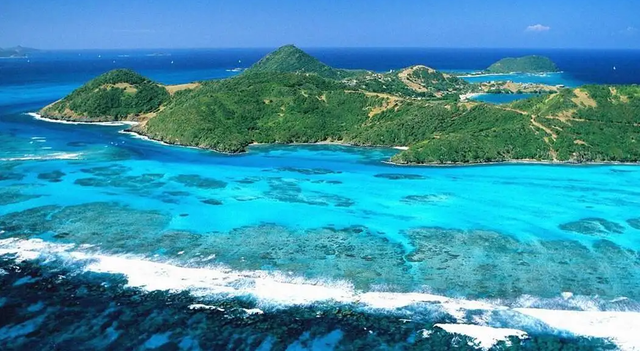 小螃蟹吃什么食物（如今在当地居民餐桌上挣扎着）