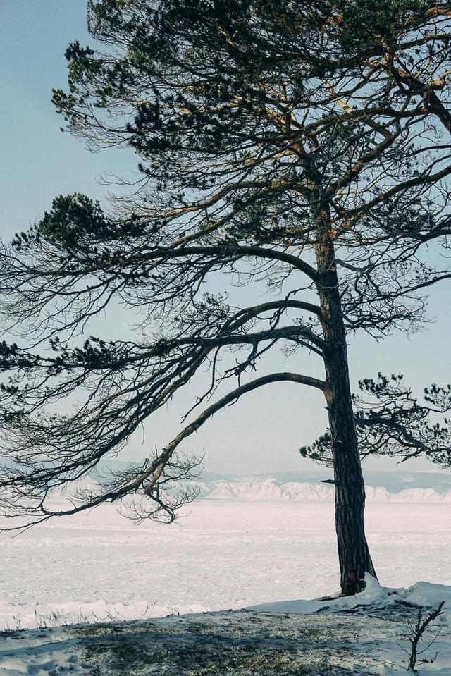 摄影的意义与价值，摄影对孩子意义与价值（戴显婧：从摄影师到导演）