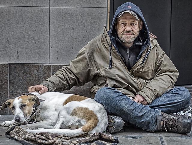 茶杯犬一只多少钱，一只茶杯犬要多少钱（穷人“不欢迎”这几种狗）