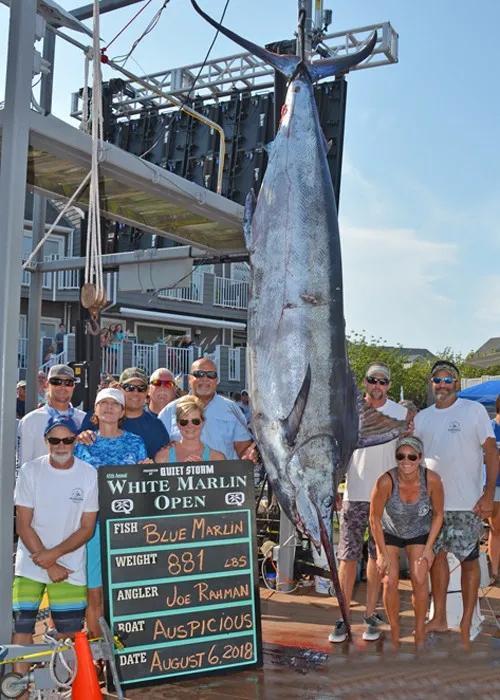 swordfish是什么鱼，swordfish是什么鱼怎么吃啊（非洲渔民抓到一条200斤大鱼）