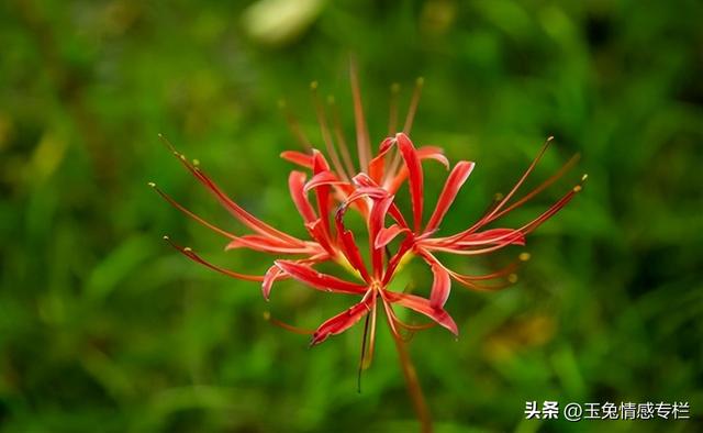 男人没放下前妻的表现，没放下前妻的表现（男人能忍多久不联系前妻）