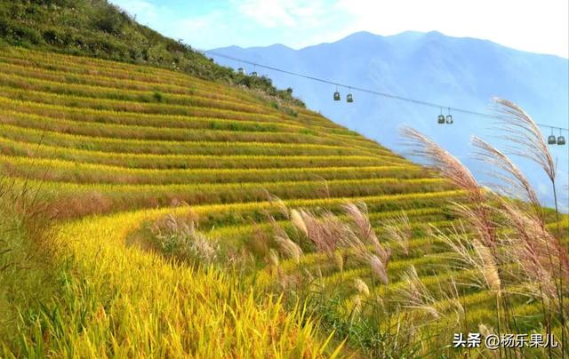 桂林旅游景点介绍，广西桂林旅游景点介绍（广西-桂林十景）