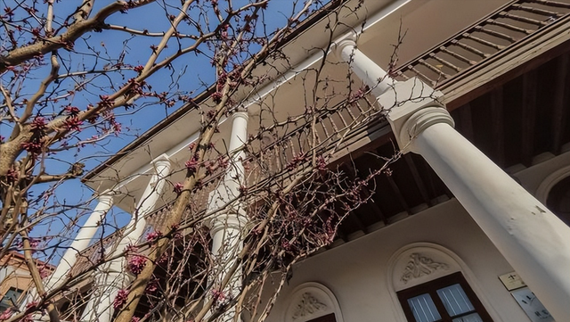 西南政法大学录取分数线2022，2022西南政法大学在贵州录取分数线及招生计划（6所政法类名校法学专业录取分）