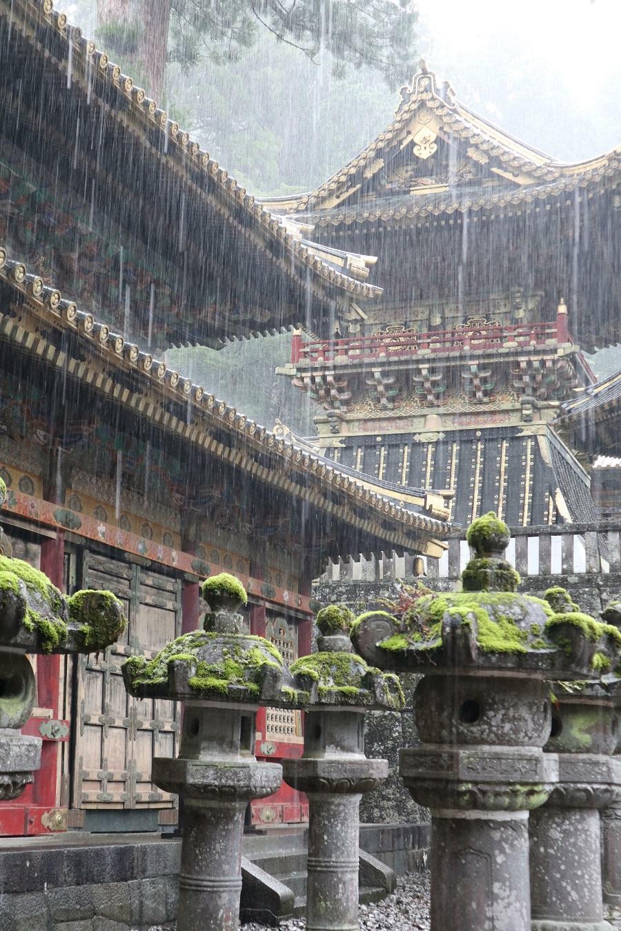 下雨的图片(50张最治愈和最平静的雨中美景) - 赤虎壹号